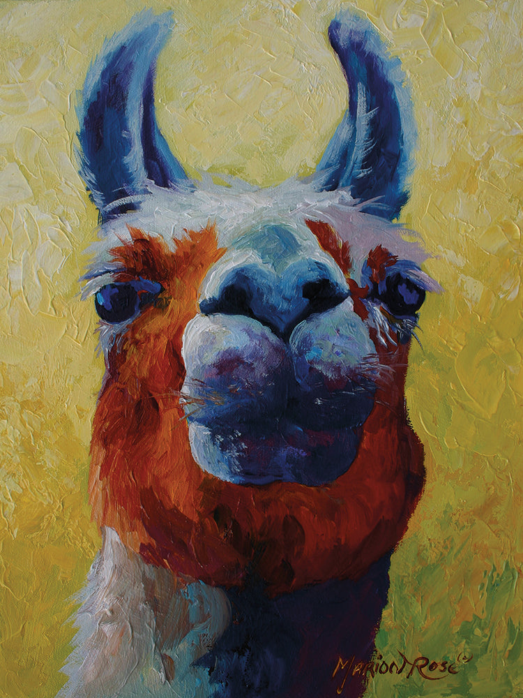 Llama I
