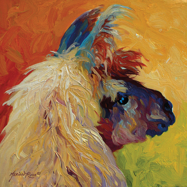 Llama II