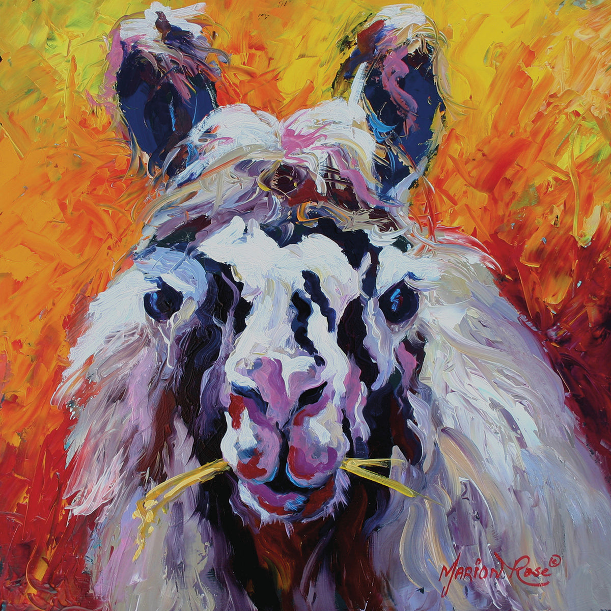 Llama III
