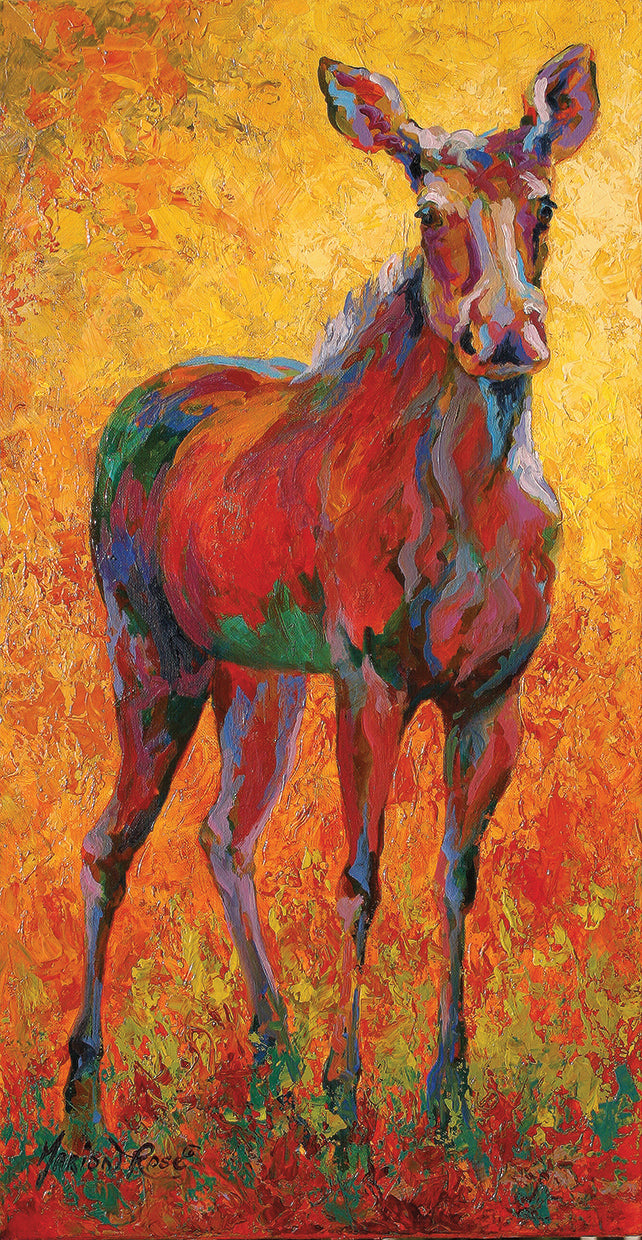 Moose (Legs That Go Forever)