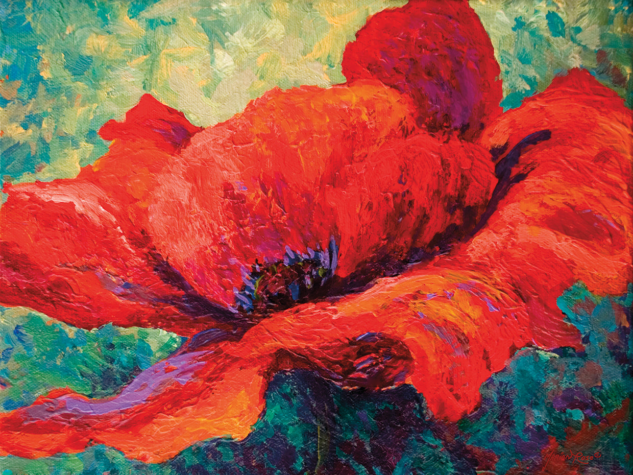 Red Poppy III