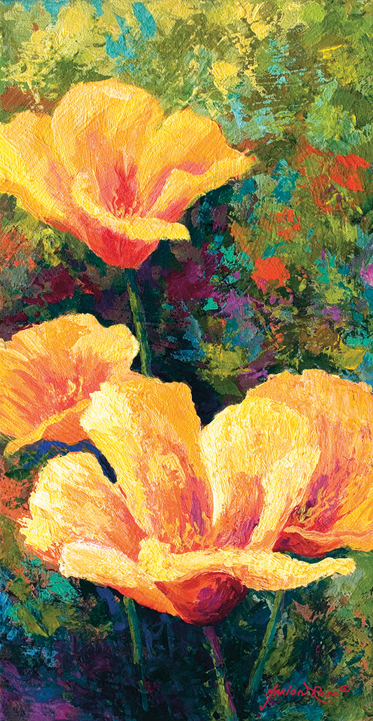 Yellow Field Poppies Canvas Print