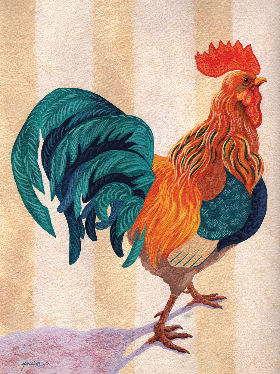 Rooster