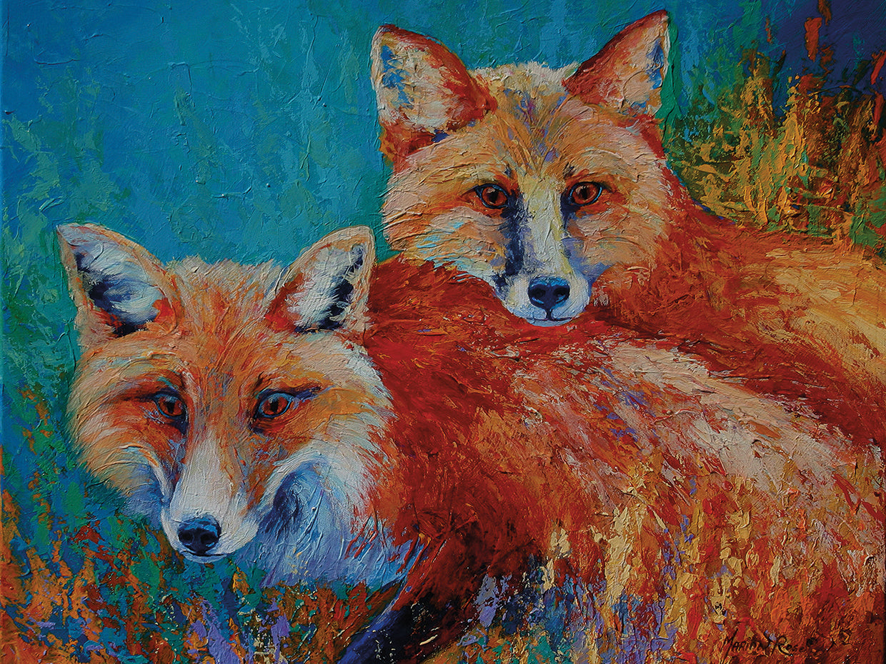 Red Foxes