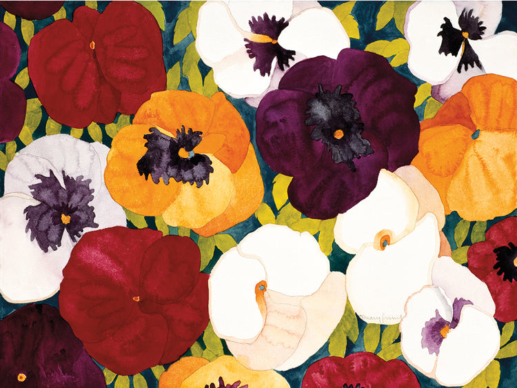 Sacred Pansies