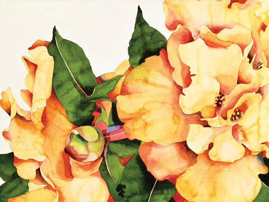 Orange Blossom Canvas Prints