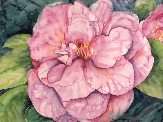 Pink Camilla Canvas Prints