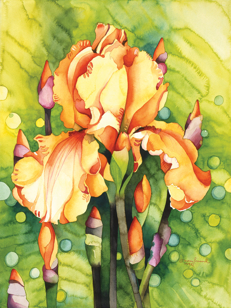Yellow Iris
