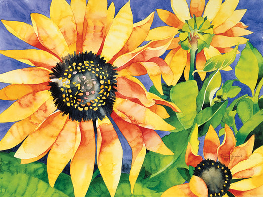 Magic Sunflowers Canvas Prints