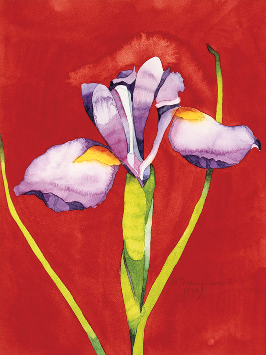 Sacred Iris Canvas Prints