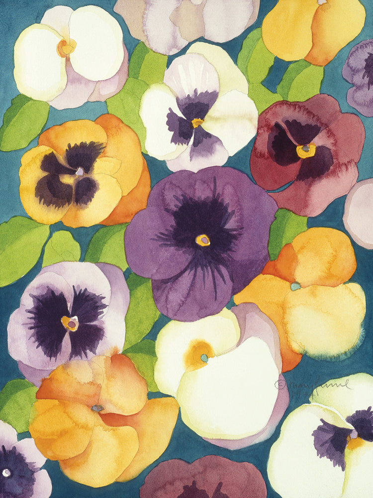 Summer Pansies
