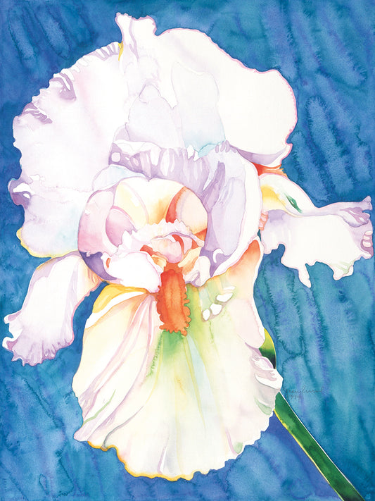 White Iris Canvas Prints