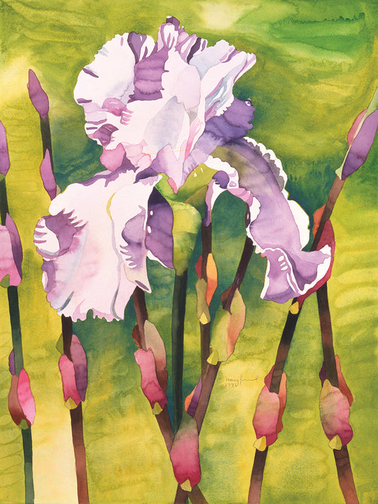 Forest Iris Canvas Prints