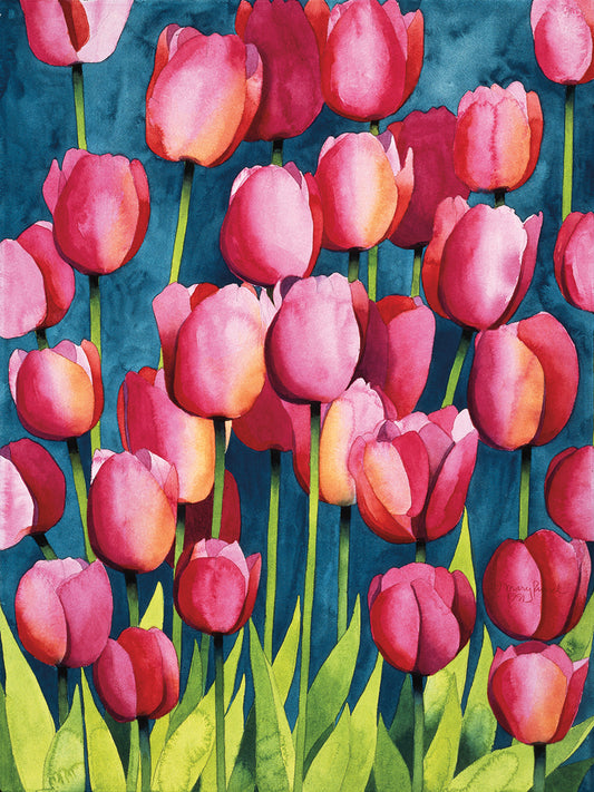 Pink Tulips Canvas Prints