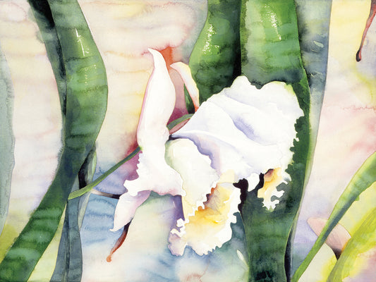 White Orchid Canvas Prints