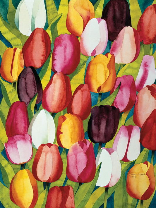 Colorful Tulips Canvas Prints