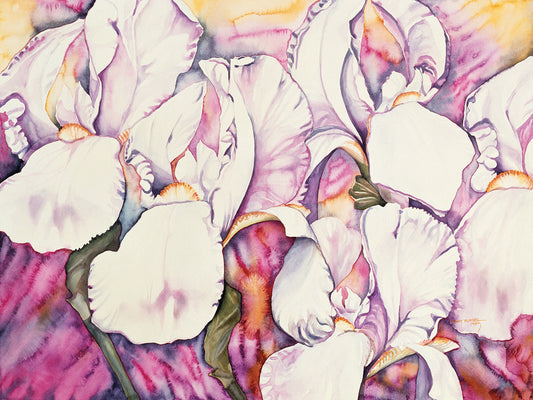 5 Iris Canvas Prints