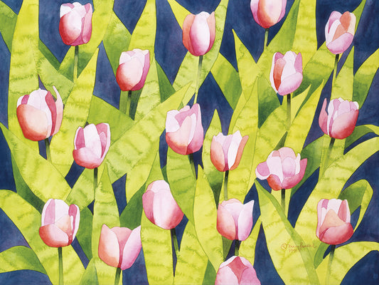 Field Of Tulips Canvas Prints
