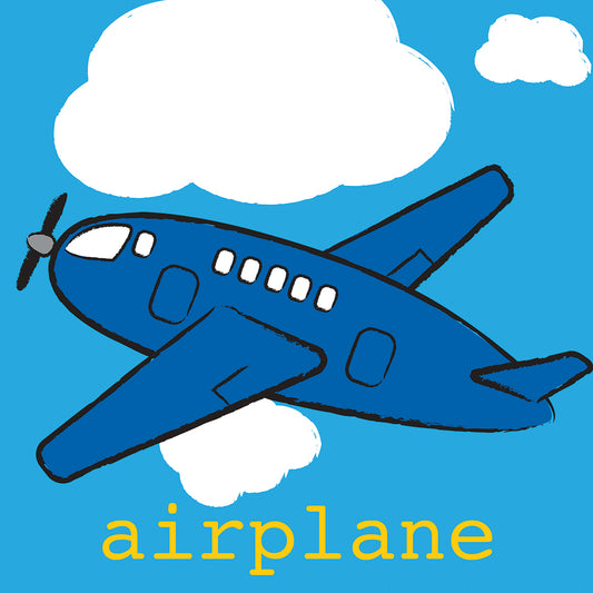Airplane Canvas Print