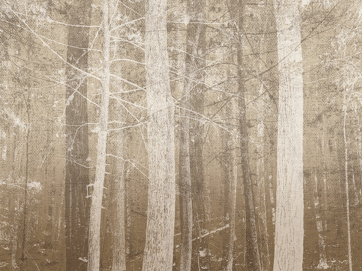 Arte de la lona de la niebla del bosque
