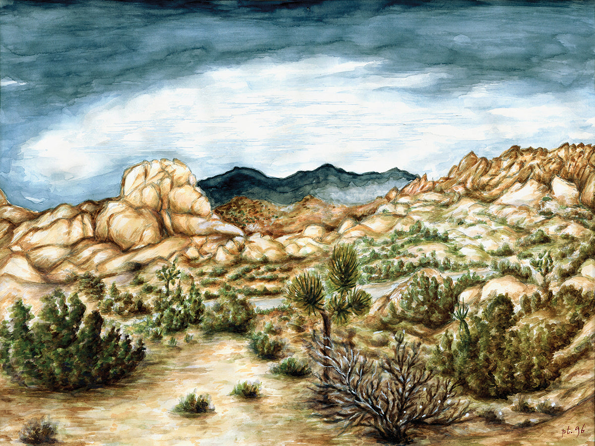 Joshua Trees