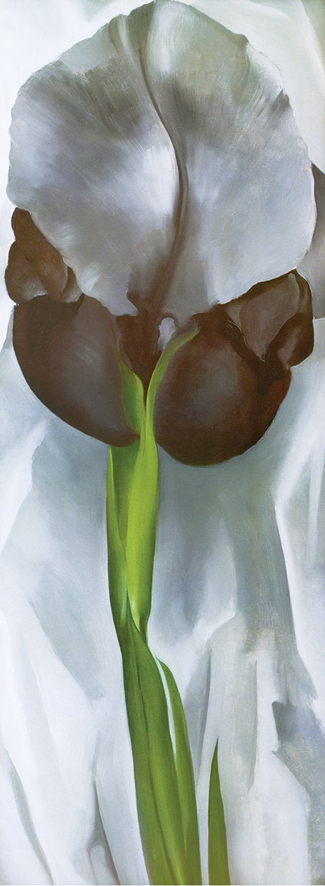 Iris Canvas Art