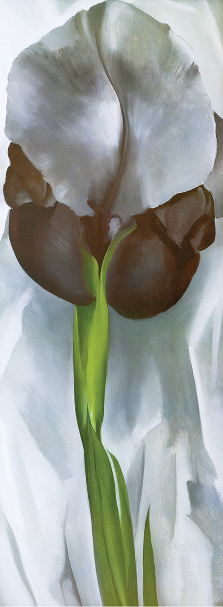 O'Keefe Iris