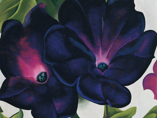 O'Keefe-Black and Purple Petunias