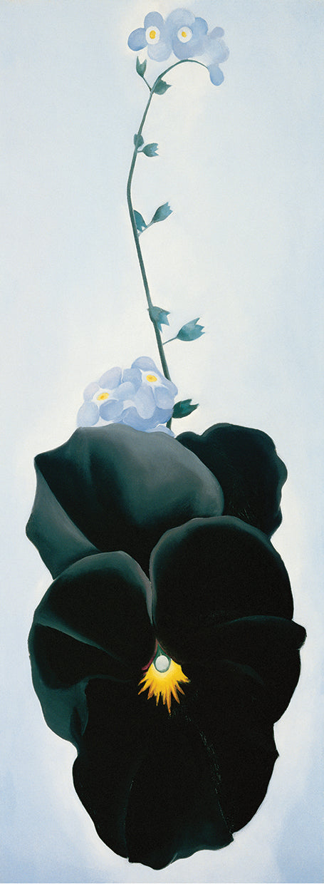 O'Keeffe - Pansy Canvas Print