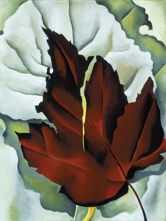 O'Keefe-Pattern of Leaves Canvas Print