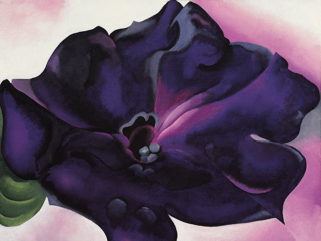 O'Keefe-Petunia
