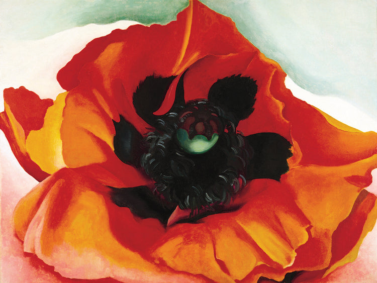 O'Keefe-Poppy