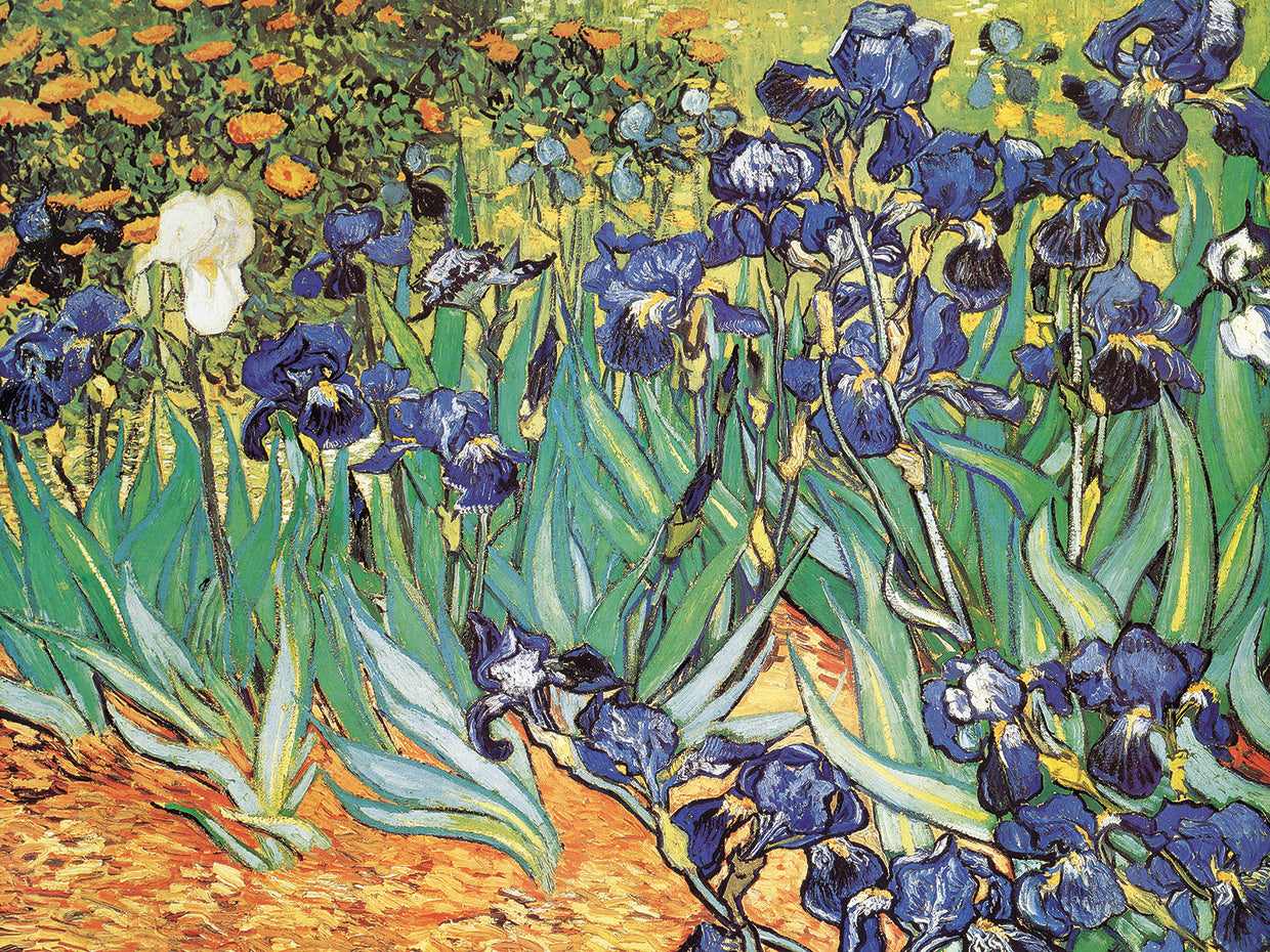 Vincent Van Gogh's Van Gogh - Iris Garden Canvas Art Prints For Sale ...
