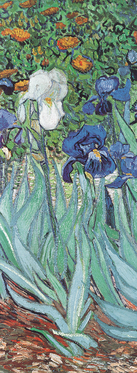 Van Gogh-Iris