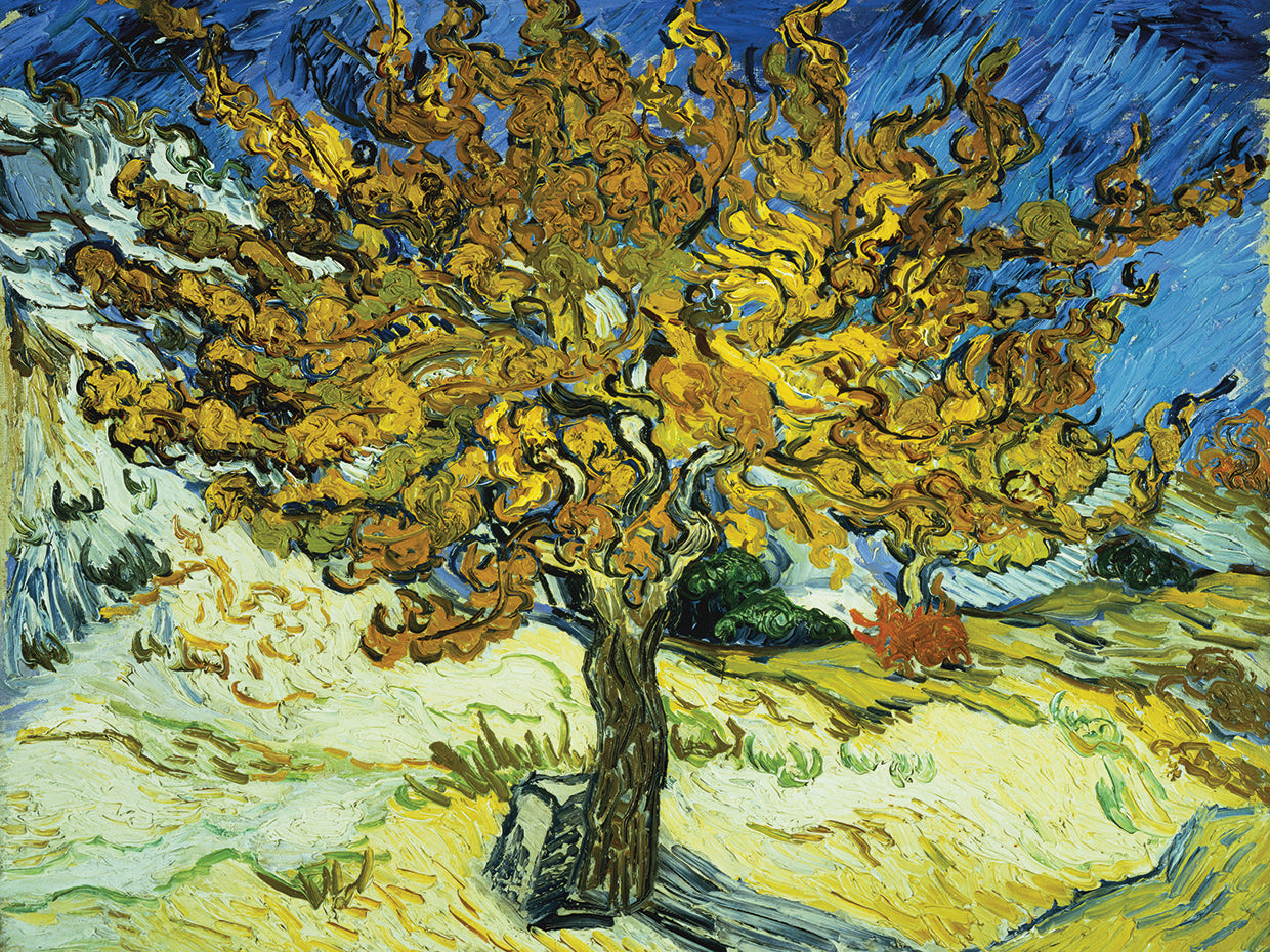 Van Gogh-The Mulberry Tree