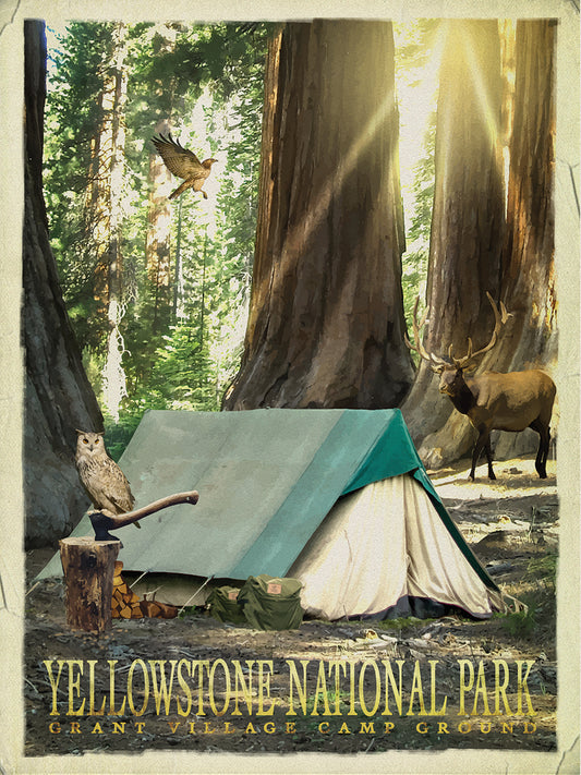 Redwood Camping Canvas Art