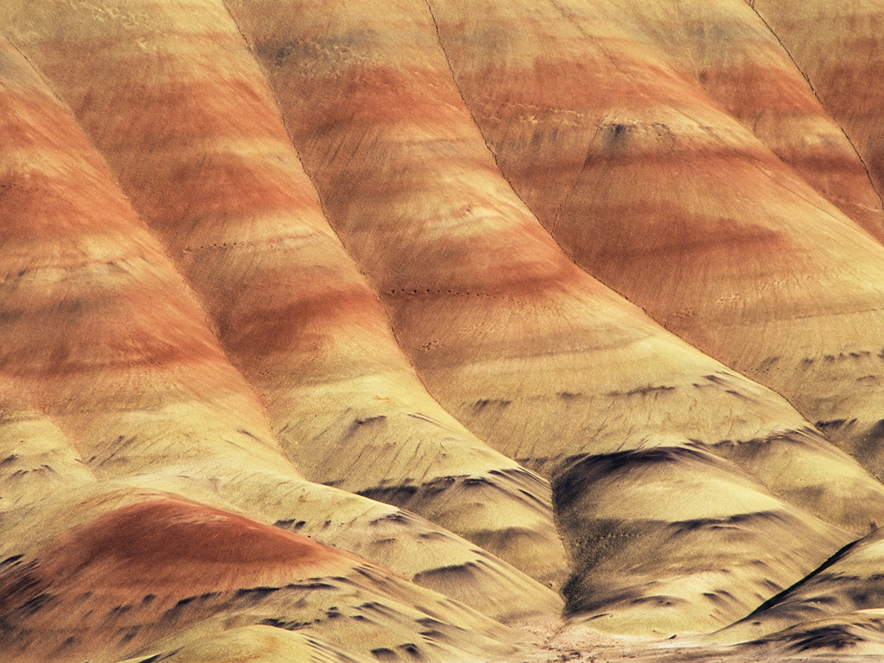 Side of the Mountain
