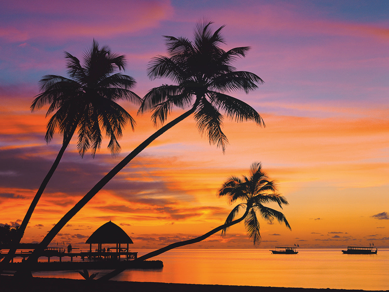 Three Palm Trees at Sunset