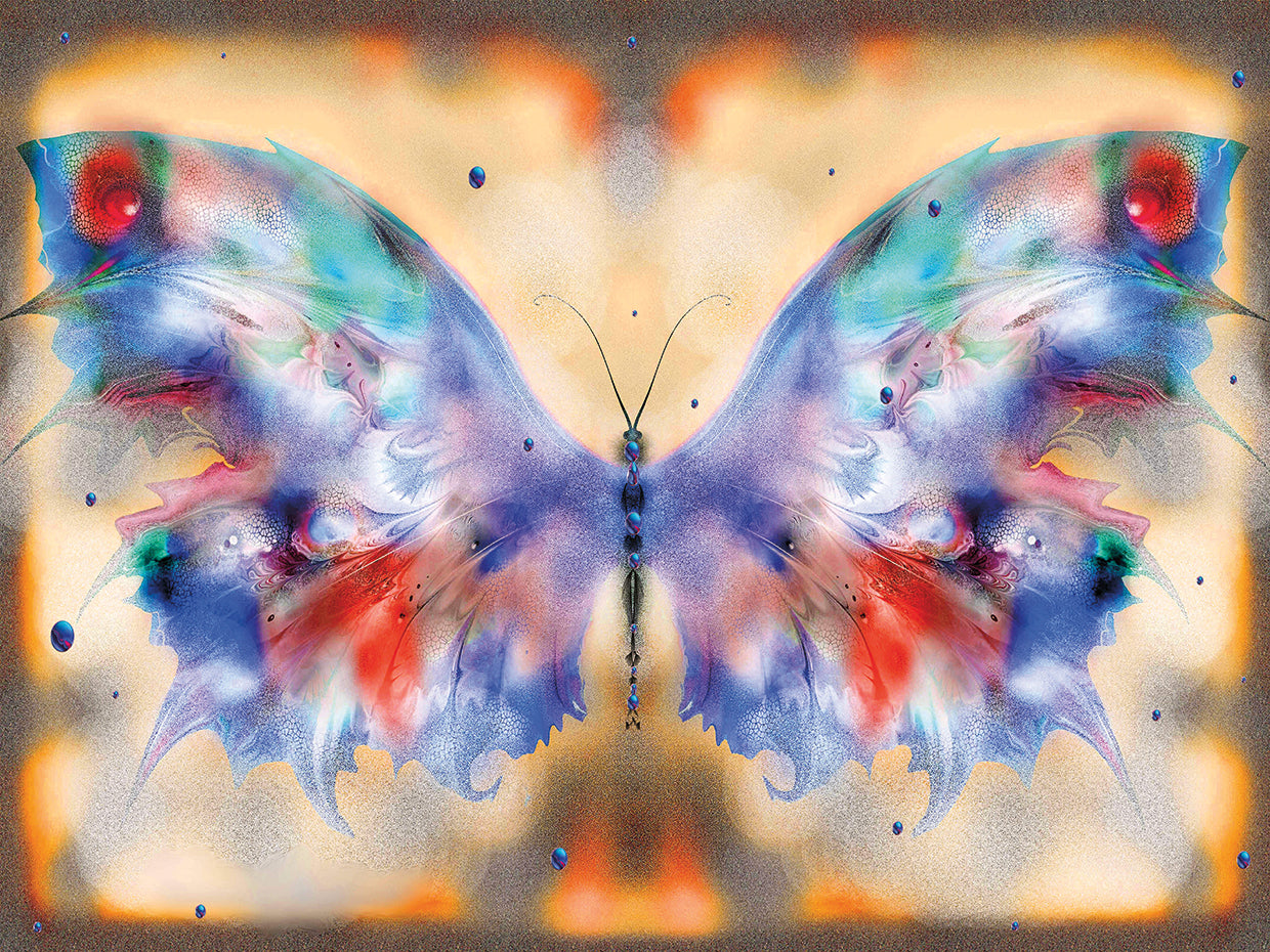 Butterfly 19