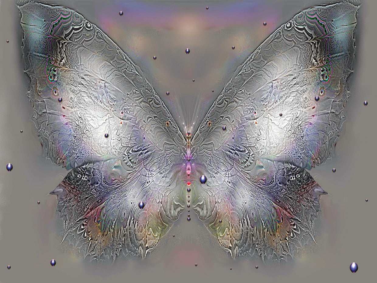 Butterfly 1