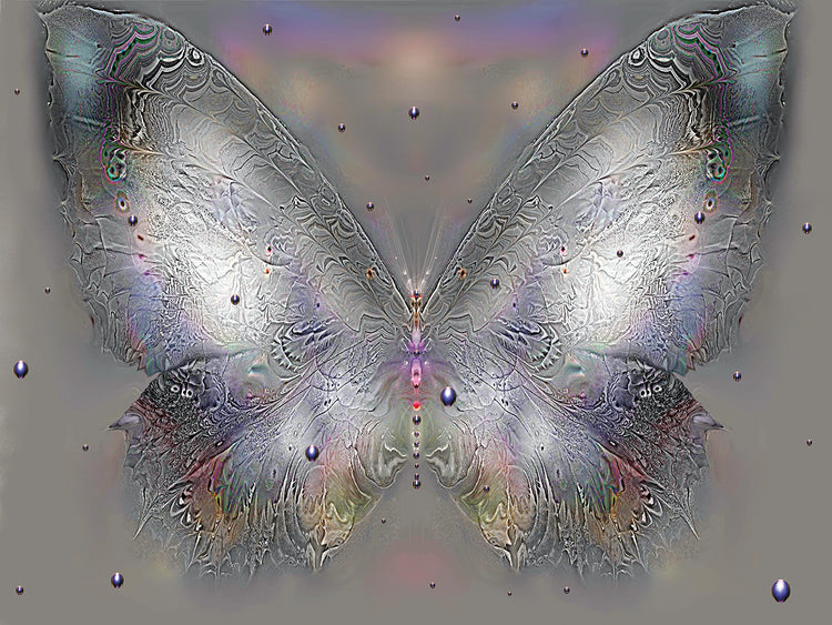 Butterfly 1