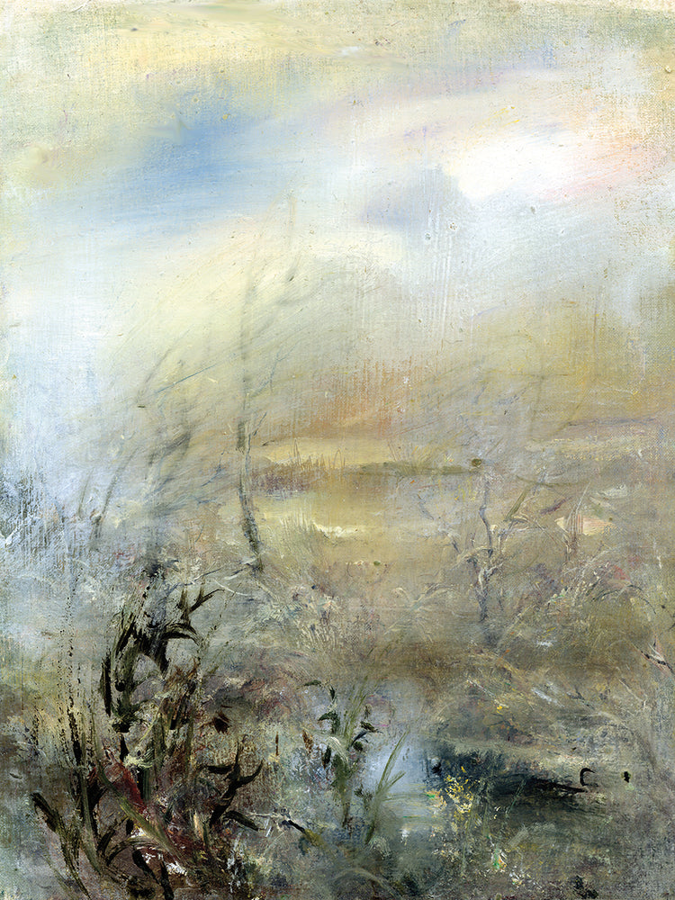 Winter Landscape