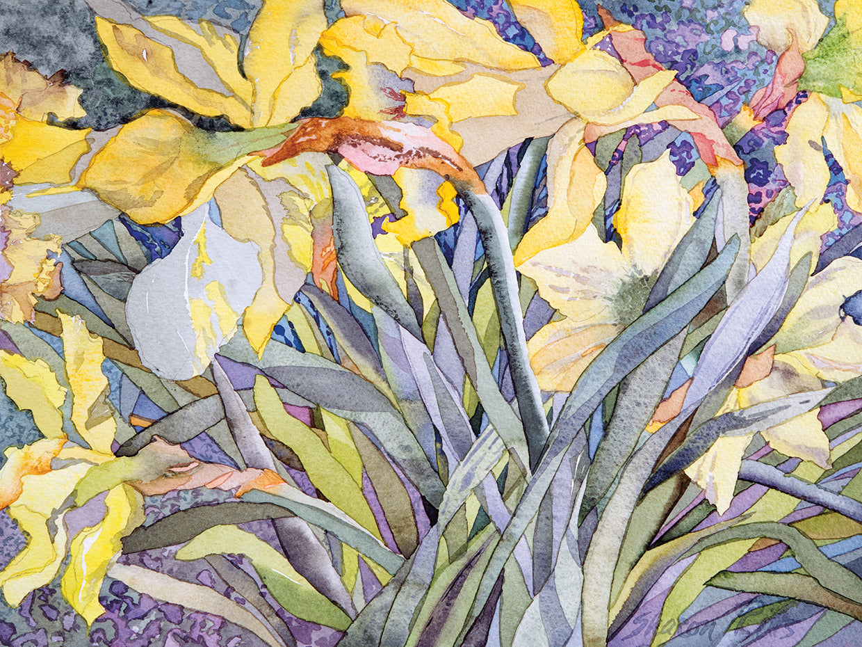 Narcisos, Van Vleck Lienzo