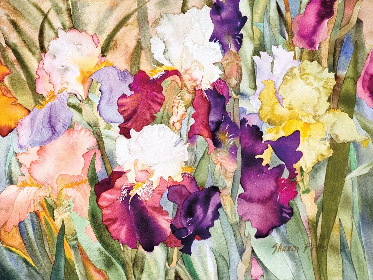 Iris Garden I Lienzo