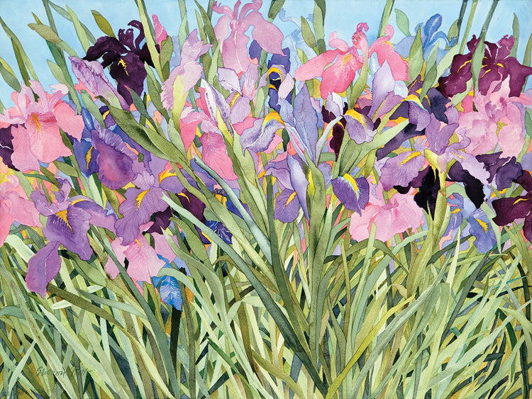 Iris Jardín X Lienzo