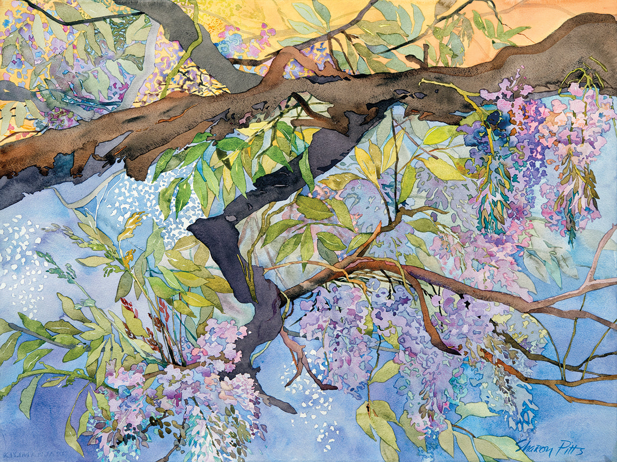 Wisteria, Van Vleck Lienzo