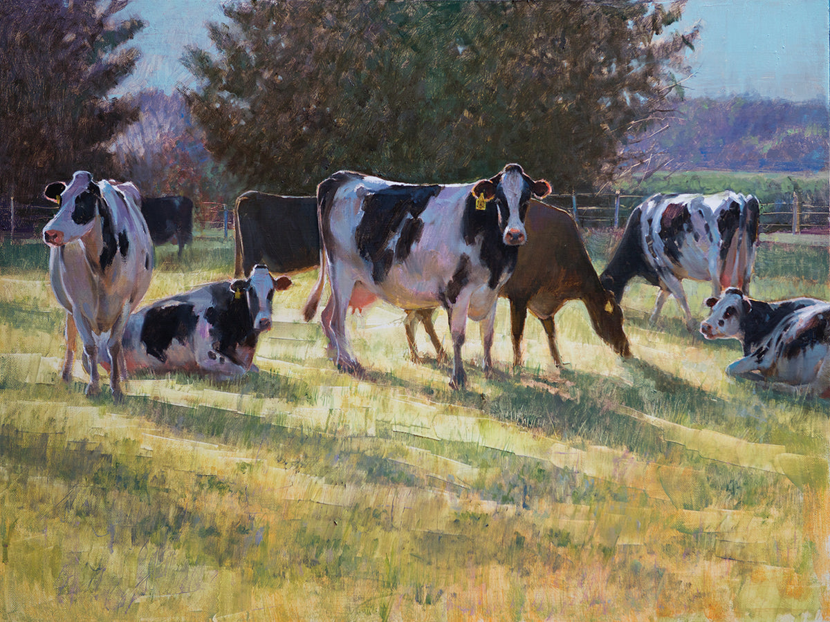 Dairy Cows