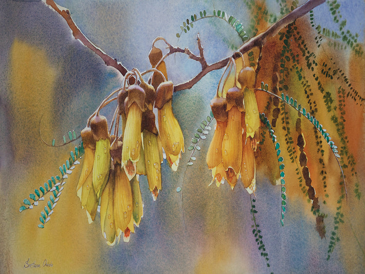Arte de la lona de las flores del árbol de Kowhai II