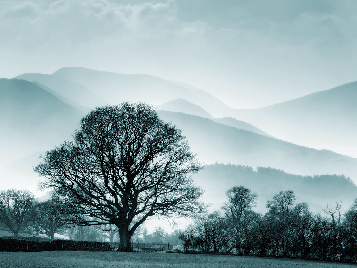 Lienzo Paisaje azul con árbol