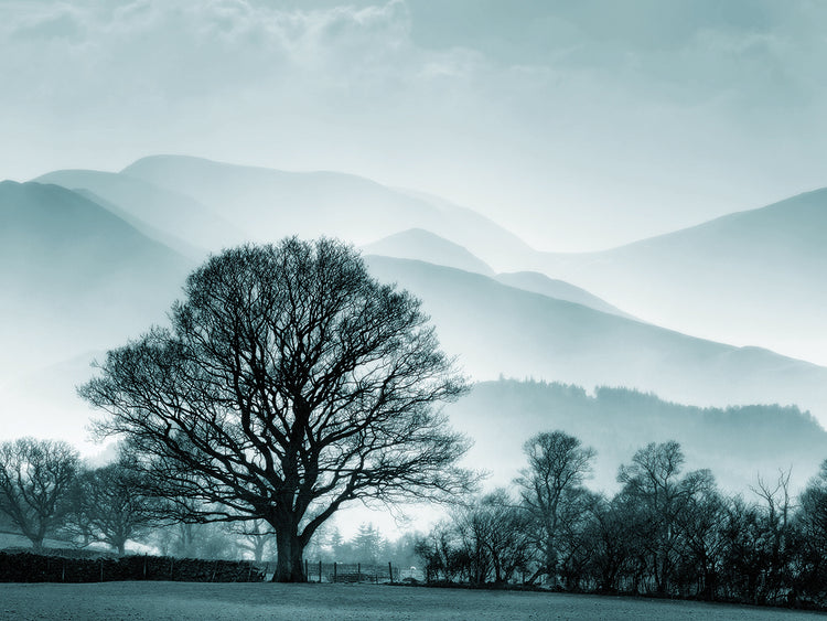 Lienzo Paisaje azul con árbol